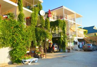 Эллинги на берегу моря