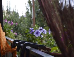 Гостевой дом в Алуште